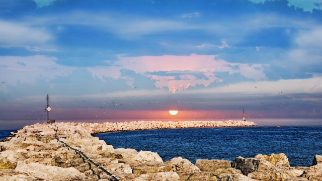 博鱼综合体育官方网站入口室内健身操组合