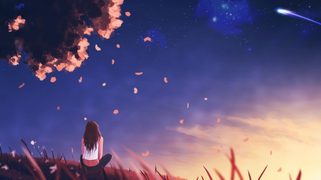 博鱼综合体育官网登录入口打篮球必备身体训练器材